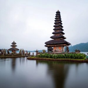 Demo - T-shirt with print