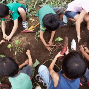 Demo - Women handbag